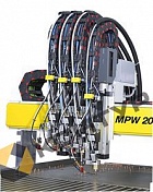 MPW1010/2010